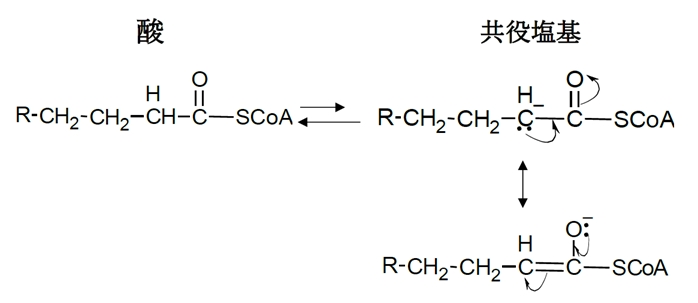 チオエステルのα-水素の酸性度 104回薬剤師国家試験問138の5